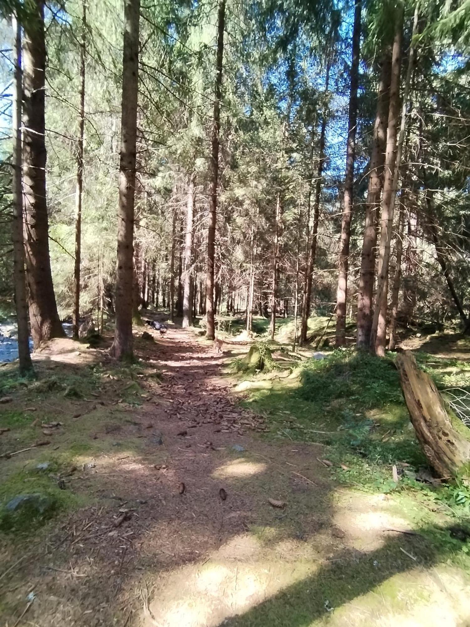 Penzion Real Žiar Exteriör bild