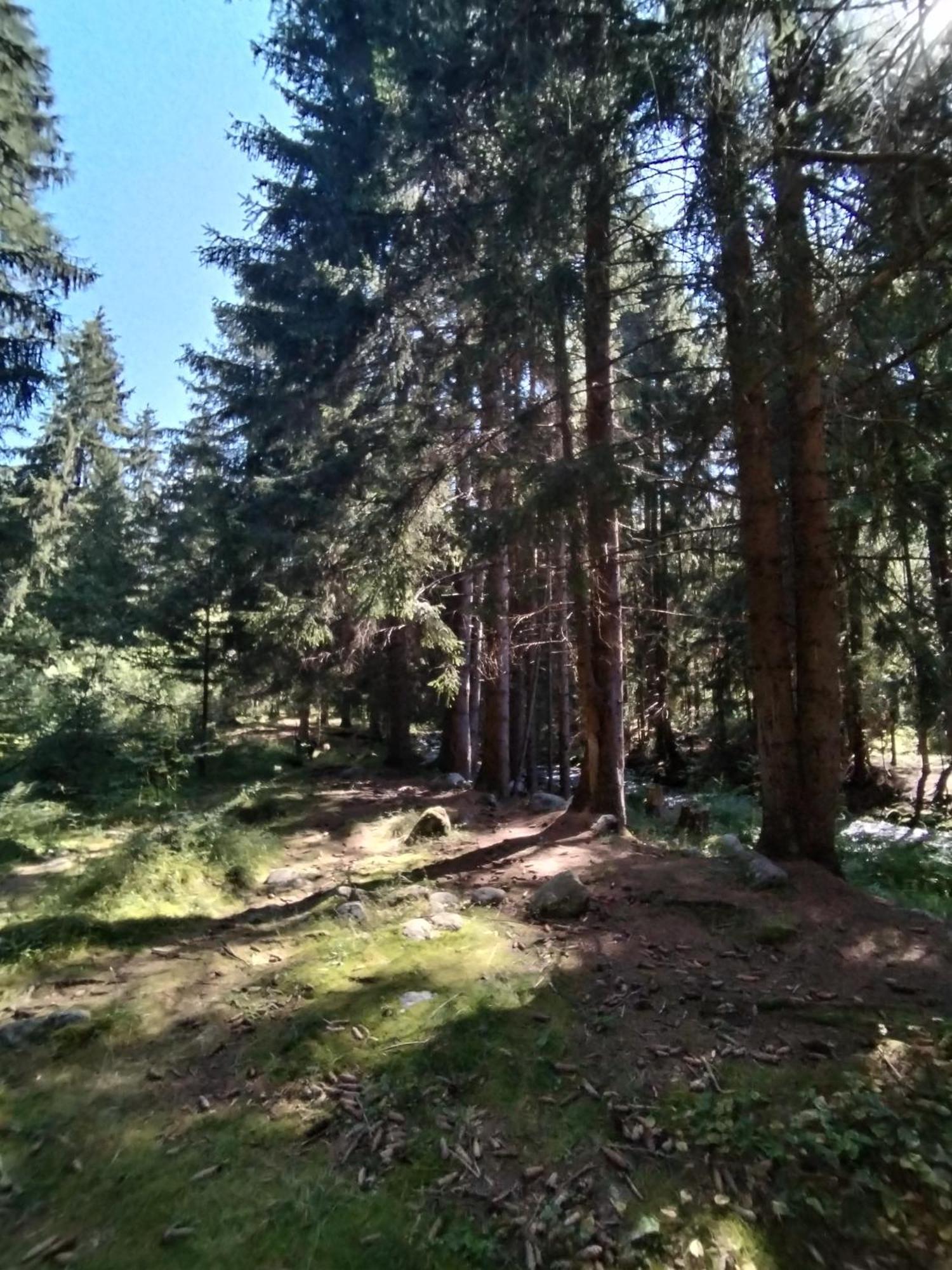 Penzion Real Žiar Exteriör bild