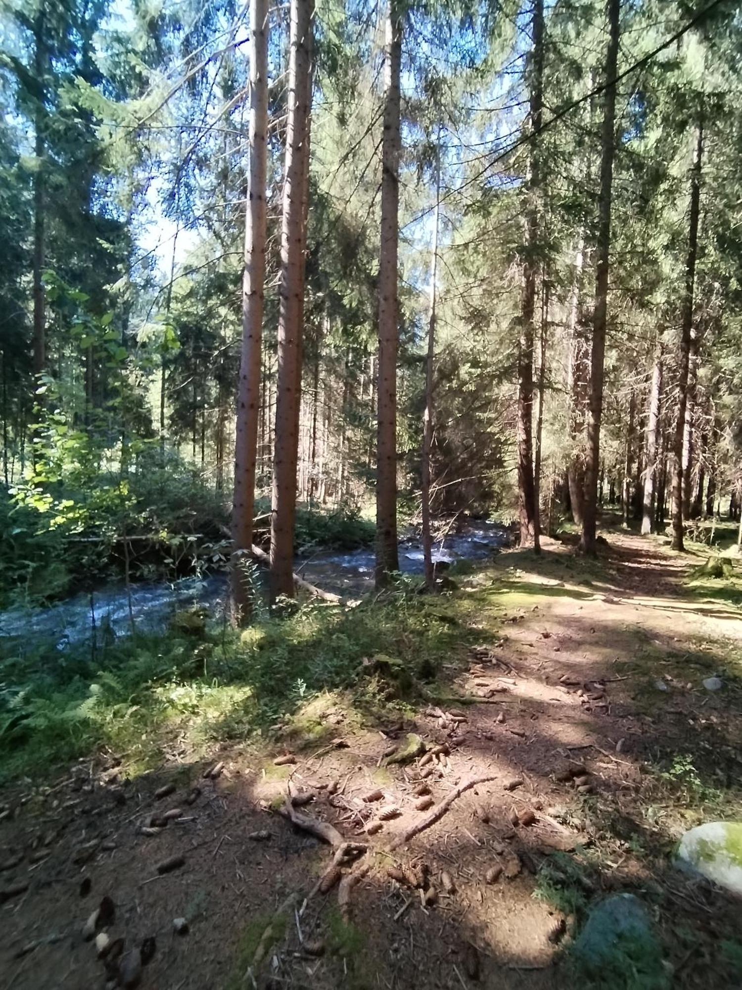 Penzion Real Žiar Exteriör bild